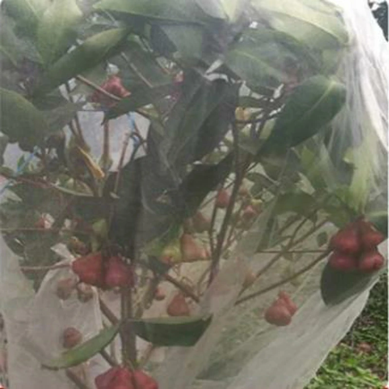 Plant protective cover Agriculture gardening Pest control net Fruit tree protection net Garden flowers Pest control net