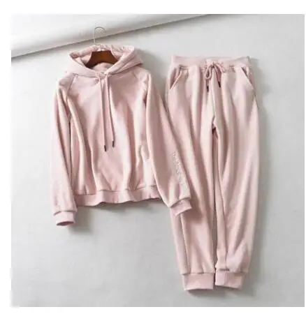 Jvzkass new thick velvet sports suit two-piece female hooded embroidery sweatshirt+ casual pants to keep warm Z332 - Цвет: Pink set
