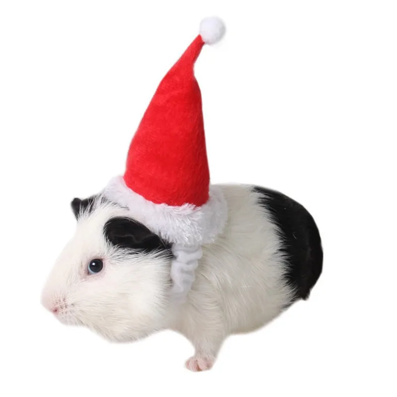 Костюм для домашних животных в виде морской свиньи Рождественская шляпа шарф с