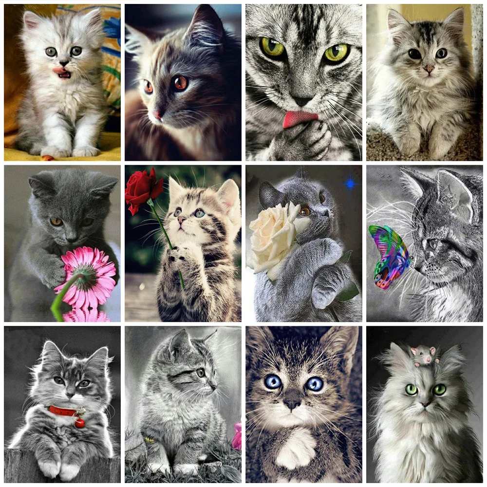 

MomoArt 5D DIY Diamond Painting Cat Diamond Mosaic Full Square Drill Animal Kits Bead Embroidery Handmade Hobby Gift Wall Art