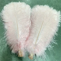 20 100pcslot high quality ostrich feather 20 22 inches50 55cm party jewelry accessories christmas carnival craft