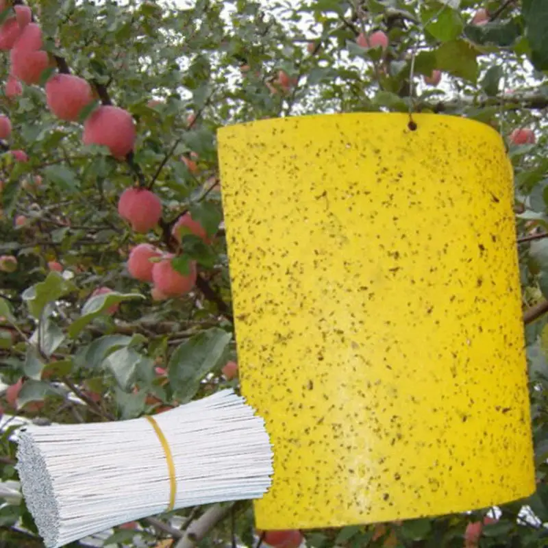 5 шт. сильные фруктовые Fly ловушки насекомых желтый липкая ловушка для борьбы с