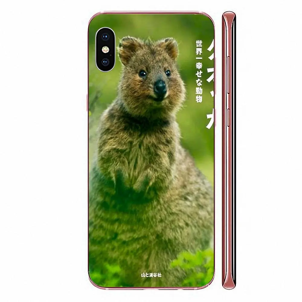 Мягкий чехол для телефона из ТПУ с изображением животных Quokka Xiaomi CC9E Mi3 Mi4 Mi4i Mi5 Mi 5S 6