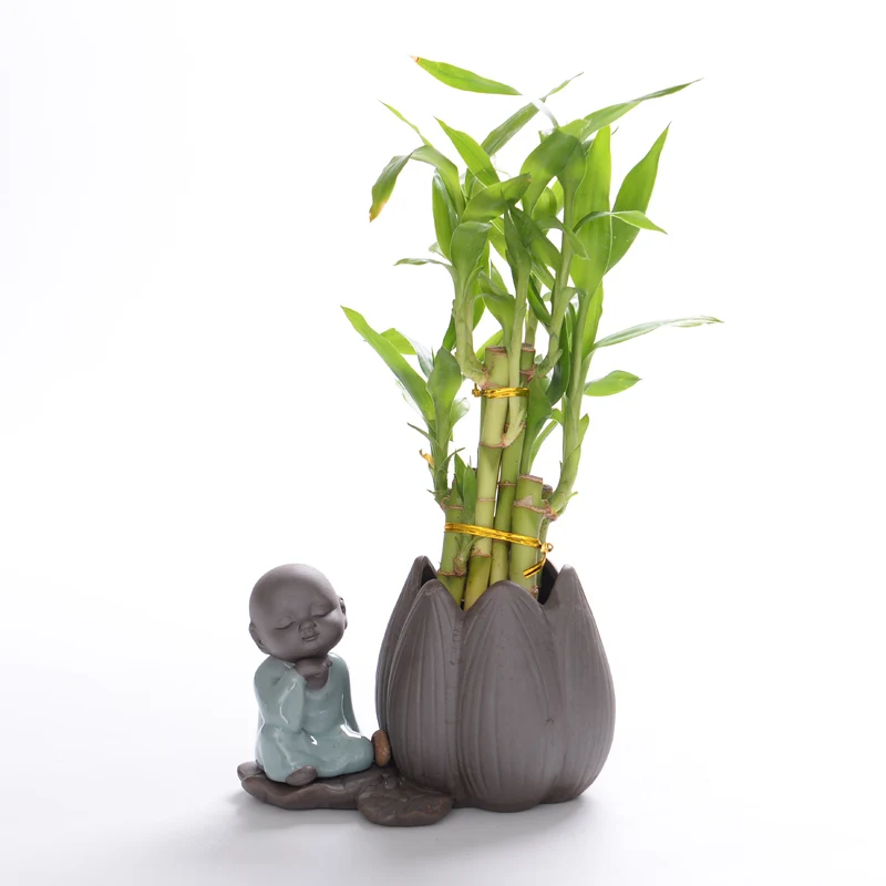 Керамические цветочные горшки декоративные цветы в горшках Комнатные семена