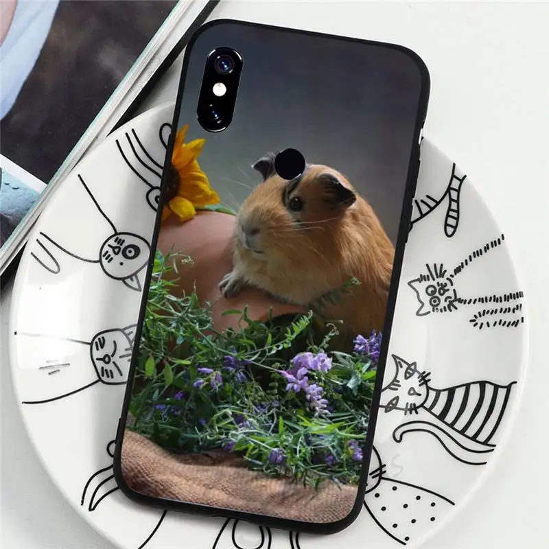 

Guinea Pig cute animal Phone Case For Xiaomi Redmi note 7 8 9 t k30 max3 9 s 10 pro lite