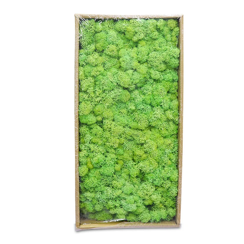 

200g Preserved Moss Flowers For Wedding Holiday Party Home Decoration Plant Background Wall DIY Big Activity Material