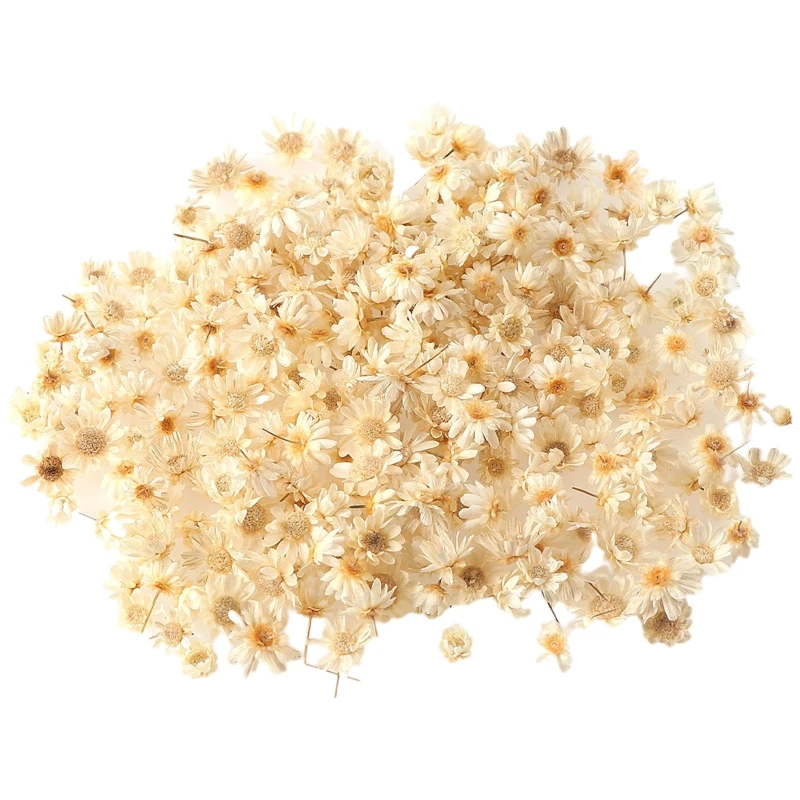 

X7YA 1 коробка сушеных цветов УФ смолы декоративные натуральные сухие цветы наклейки переводная картинка