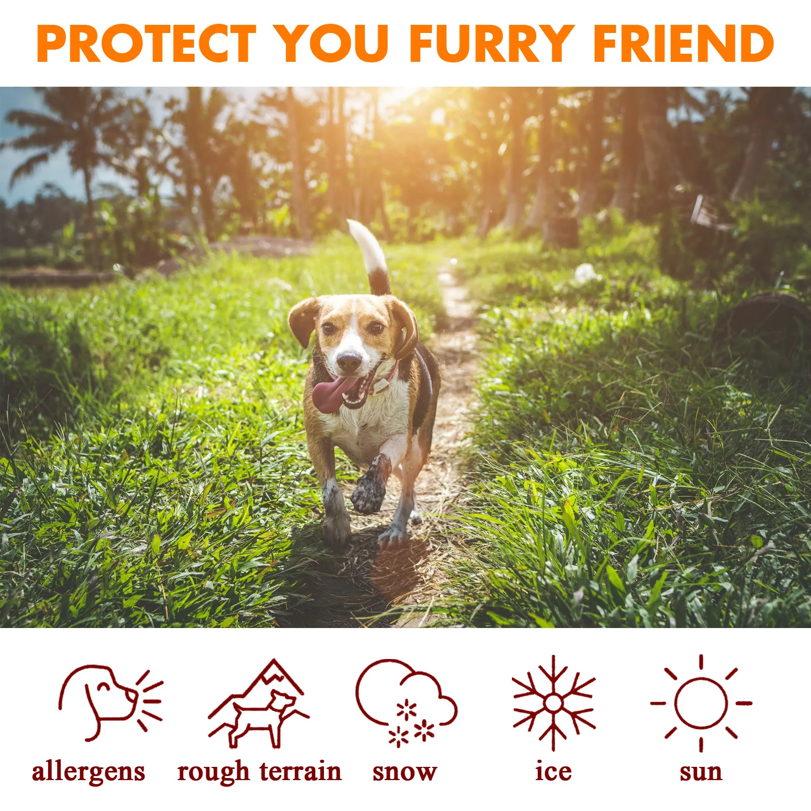 

Pet Dog Paw Care Creams Ointment Puppy Dog Paw Care Cream Moisturizing Forefoot Toe Health Pet Products