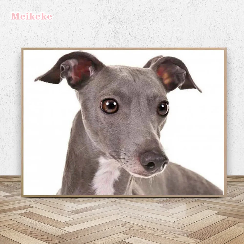 

Алмазная живопись с изображением собак greyhound, алмазная вышивка 5D «сделай сам», алмазная вышивка, алмазная вышивка, украшение для дома