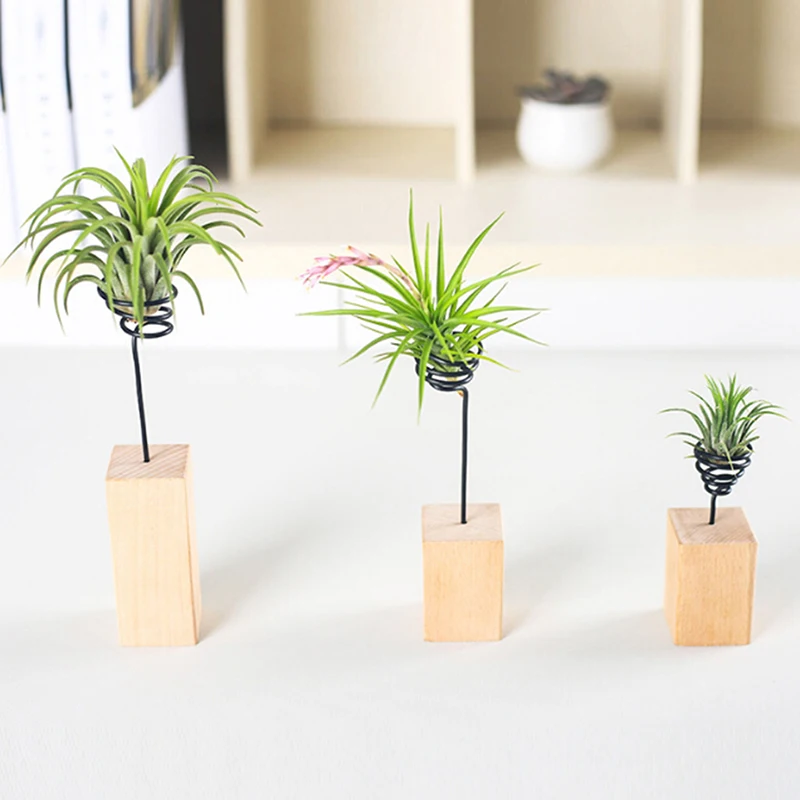 Новинка креативная настольная подставка для растений Настольная стойка модная 6