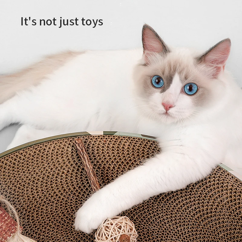 

Petshy Pet Cat Chew Stick Natural Catnip Molar Herbal Cat Natural Mint Chew Stick Edible Catnip Ball Safety Healthy