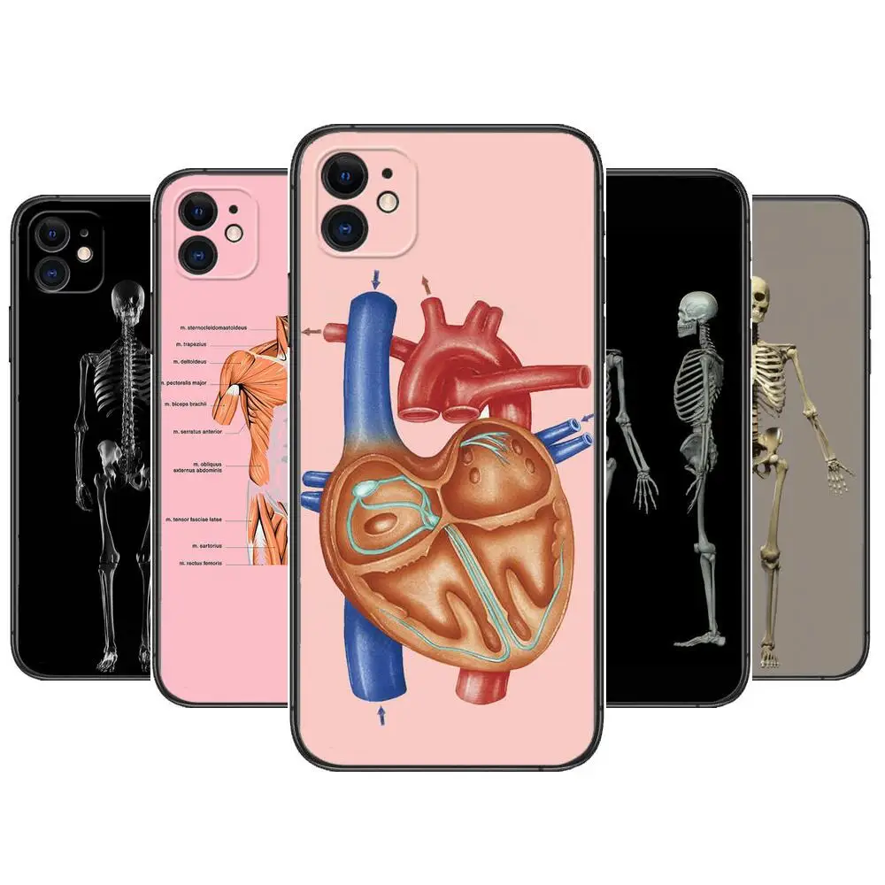 

Human Anatomy Medical Phone Cases For iphone 13 Pro Max case 12 11 Pro Max 8 PLUS 7PLUS 6S XR X XS 6 mini se mobile cell