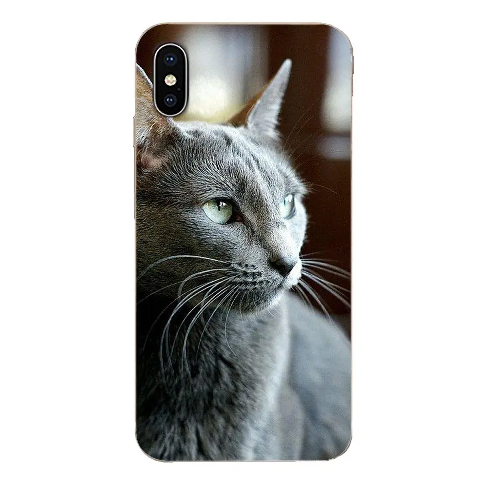 Gray Cat Lovely Animal Soft Tpu Phone Case For Sony Xperia Z Z1 Z2 Z3 Z4 Z5 compact Mini M2 M4 M5 T3 E3 E5 XA XA1 XZ Premium | Мобильные