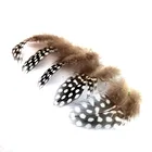 Натуральные уникальные крашеные в горошек перья в виде морских курочек для рукоделия перламутровые перья в горошек для изготовления ювелирных изделий