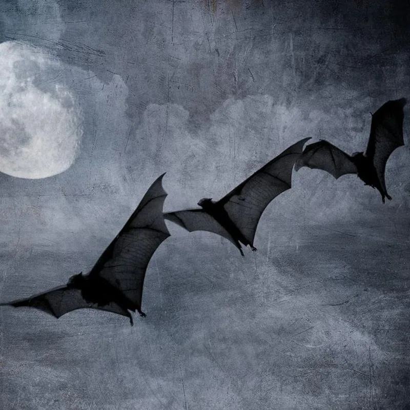 

Motocross Goggles Windproof Sand Riding Devil Mask Tactical Goggles Motorcycle Skull Mask Goggles Skull Mask Motocross Glasses