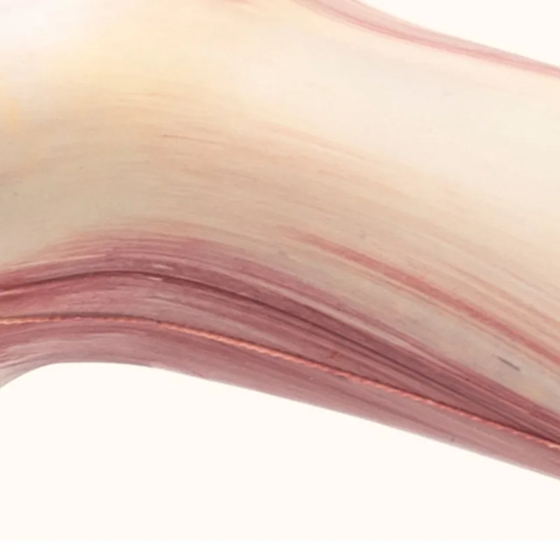 

Dog Simulation Bubble Pork Leg Grinder