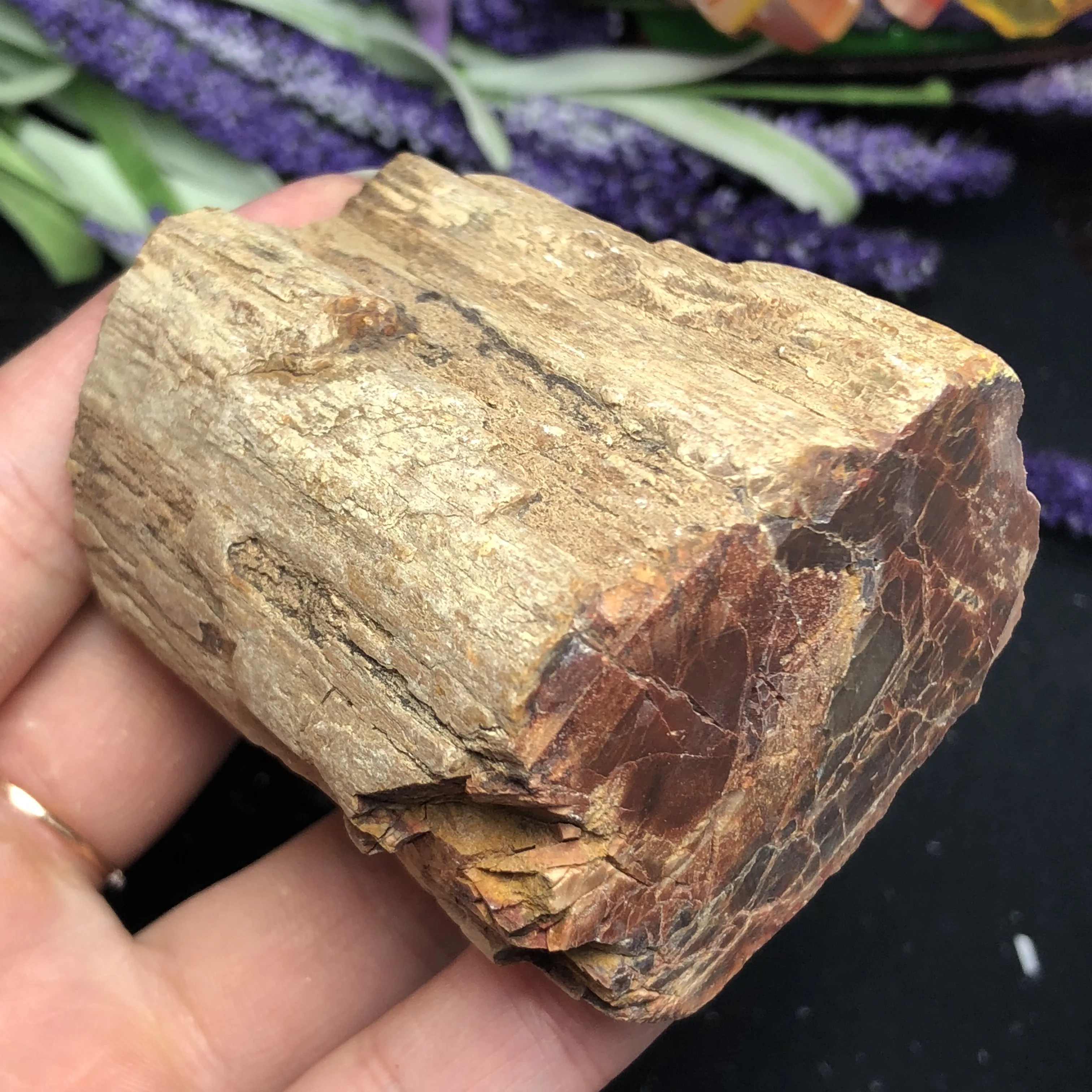 Натуральный каменный камень из окаменелого дерева натуральный минеральный