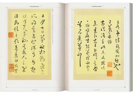 2 шт./компл. набор кистей для письма с китайскими чернилами Wang Xizhi книга