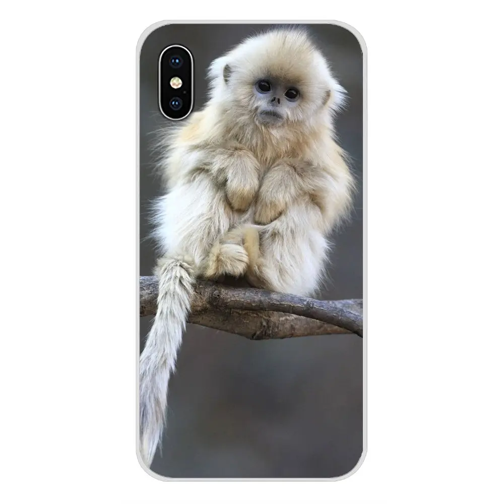 images 10 Для Apple IPhone X XR XS 11Pro MAX 4S 5s 5C SE 6S 7 8 Plus ipod touch 5 6 Аксессуары чехлы для телефонов Обезьяна горилла Ape Baby - Цвет: images 10