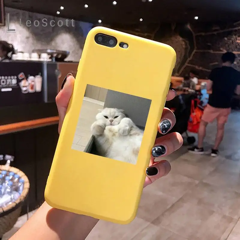 

cute cat Phone Case Yellow Candy Color for iPhone 6 7 8 11 12 s mini pro X XS XR MAX Plus