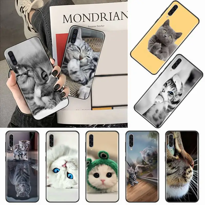 

Cute Animal Cat Phone Case For Samsung galaxy A S note 10 7 8 9 20 30 31 40 50 51 70 71 21 s ultra plus