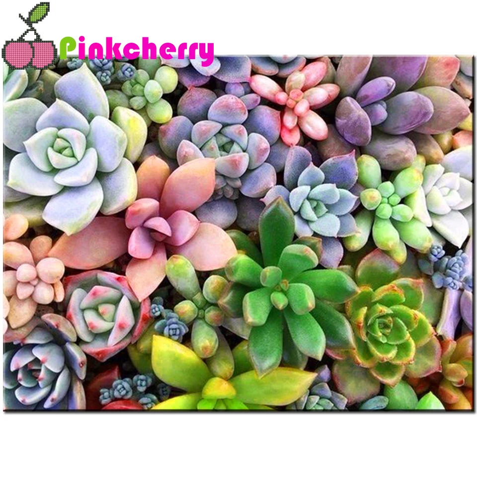 5D алмазная живопись цветок суккулента полная квадратная круглая Алмазная