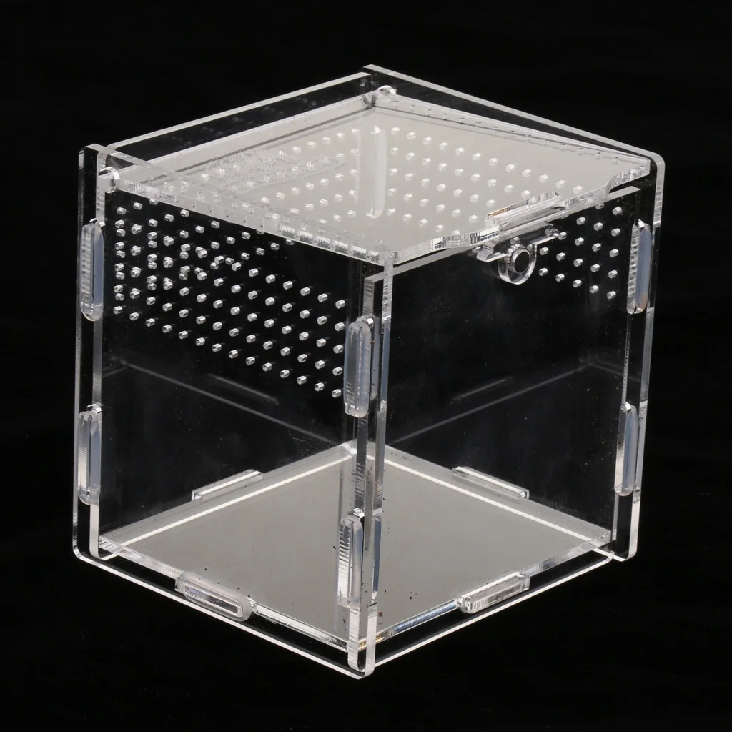 Рептилии Танк насекомых пауков ящерица разведения коробка террариумов Vivarium