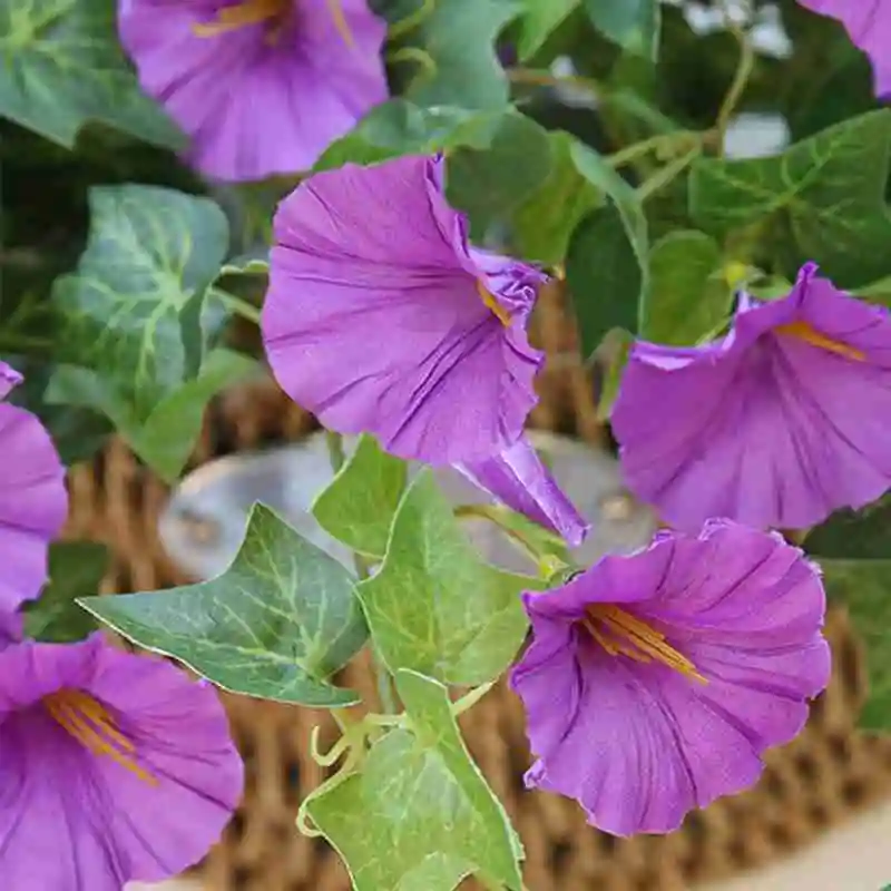 

Fake Flowers Hanging Basket Artificial Fake Silk Morning Glory Flower Vine Indoor Outdoor Flower Wedding Home Decor