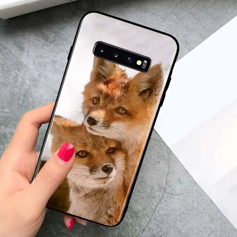 

Animal Fox Fashion for Samsung S20 FE Ultra Plus A91 A81 A71 A51 A41 A31 A21 A11 A12 A72 A52 A42 A32 A12 Phone Case