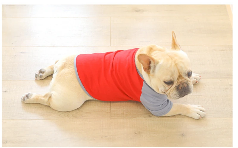 [MPK Dog denim Комбинезоны] джинсовые комбинезоны для собак, джинсы для собак подходят для французских бульдогов, джинсы для собак Мопсов