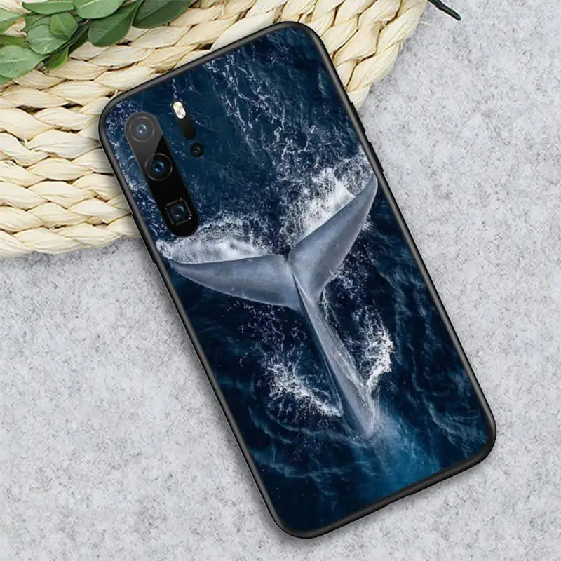 

Ocean animal Killer Whale Orca Phone Case For Huawei honor Mate P 10 20 30 40 i 9 8 pro x Lite smart 2019 nova 5t