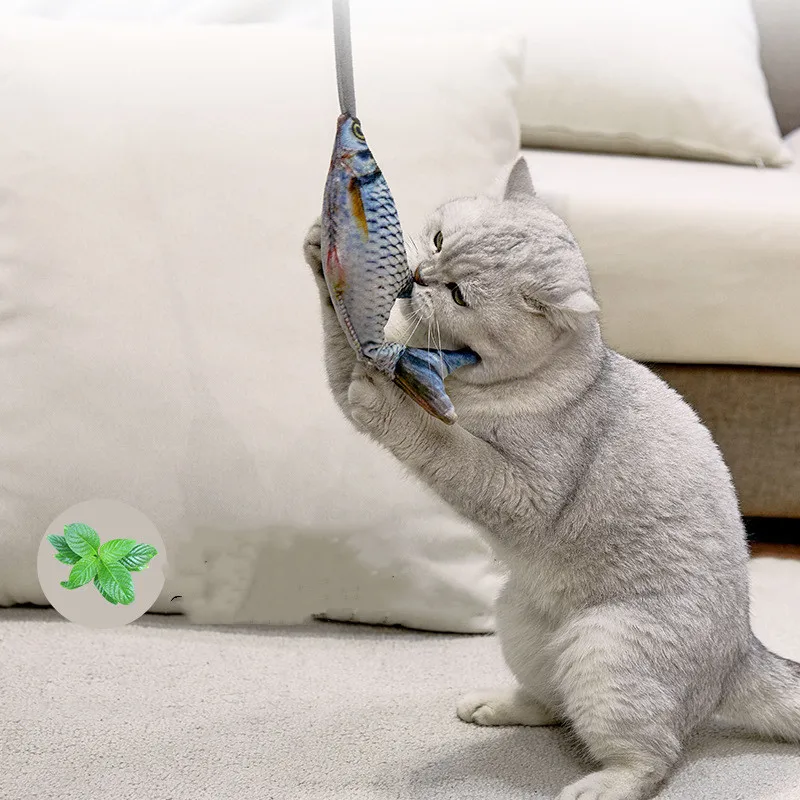 

2022 New Product Creative Pet Funny Cat Artifact Simulation Fish Cat Scratching Post Interactive Plush Toy Catnip Toy