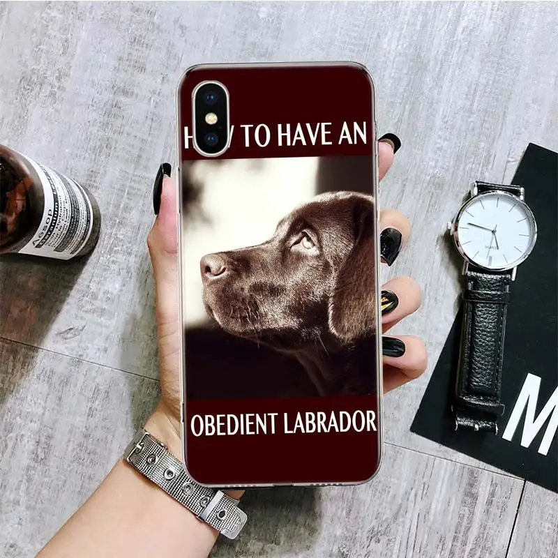 Чехол для телефона iPhone 11 12 13 14 Pro XS XR X Max 7 8 6 6S Plus Mini + 5 SE | Мобильные телефоны и