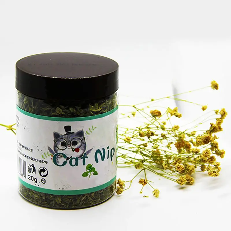 Для котенка маленькая игрушка для кошек полезный питомец безопасный пищевая