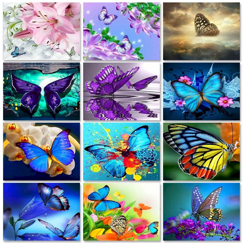 

Gatyztory 60x75cm Paint By Numbers For Adults Butterfly Pictures Acrylic Painting By Numbers On Canvas Animals DIY Home Decorati