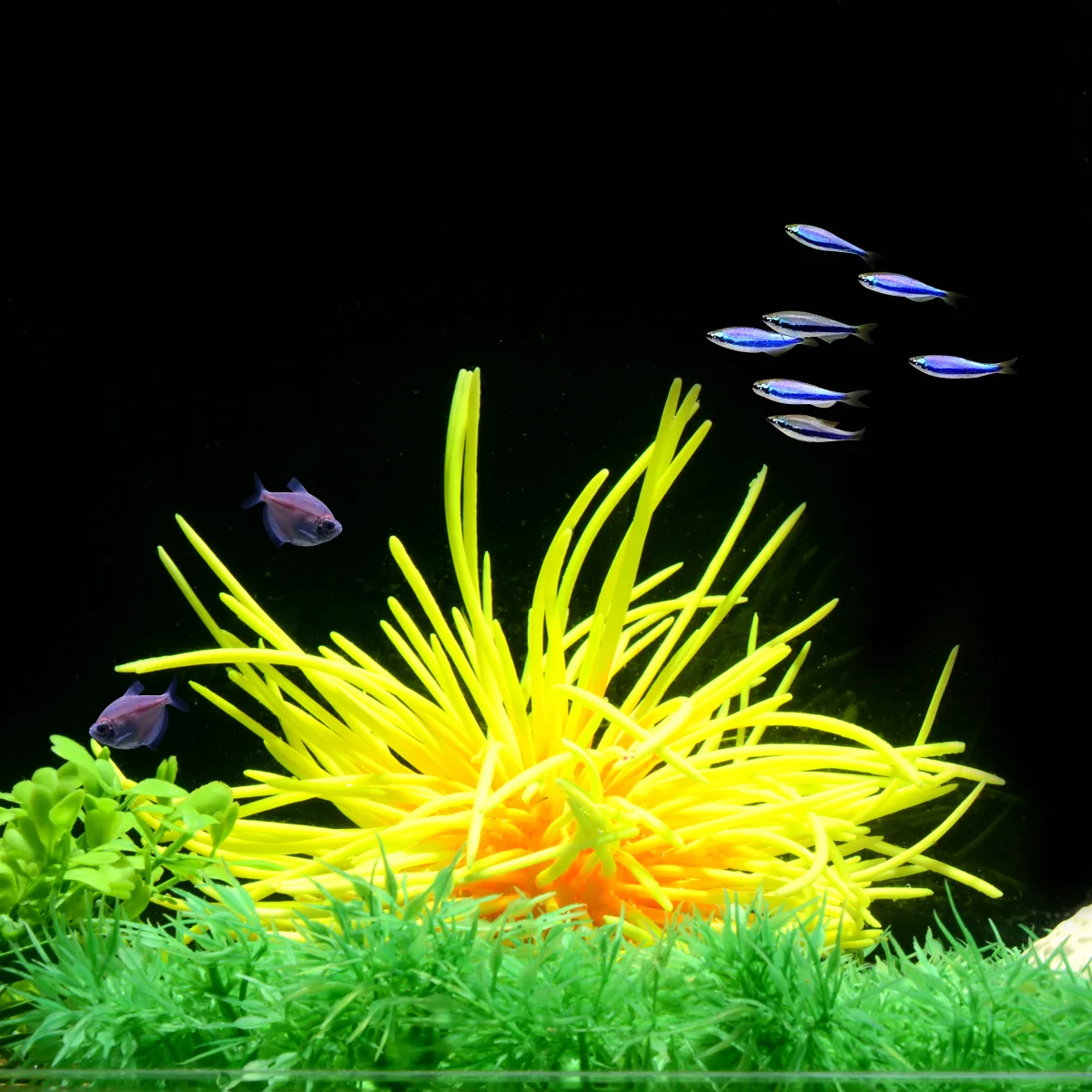 Кораллы Saim для аквариума украшение морского урчина яркие желтые растения