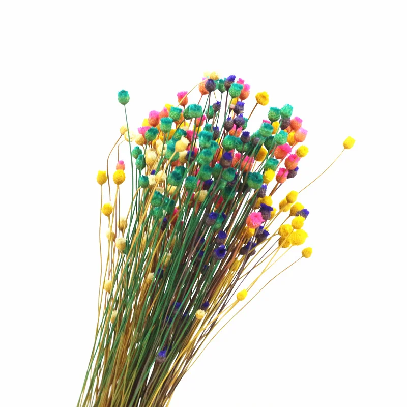 100 шт. Свадебные украшения растения искусственные цветы украшение сушеные