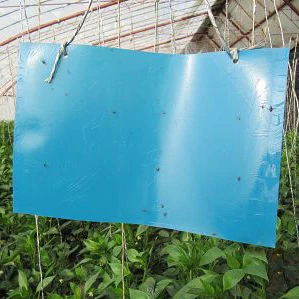 20x25cm Blue plate 10 шт. 20*25 см сильные мухи ловушки жучки липкая доска ловля тли насекомых пестицид наружная муха ловушка для тли грибок GT122 - Цвет: 20x25cm Blue plate
