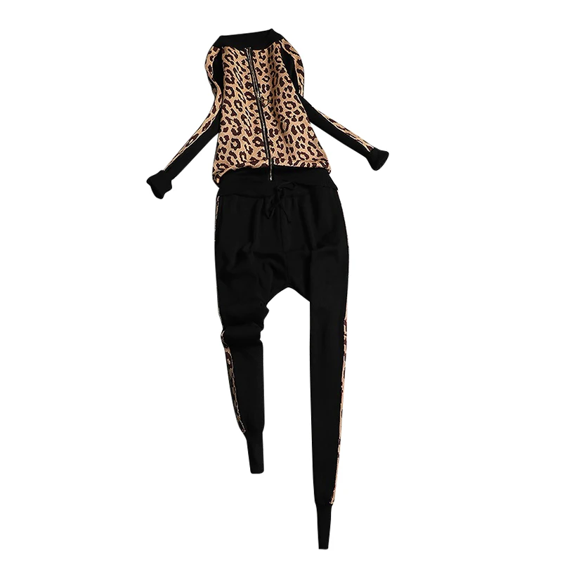 Новая осень зима спортивные костюмы женская мода из двух частей комплект одежды