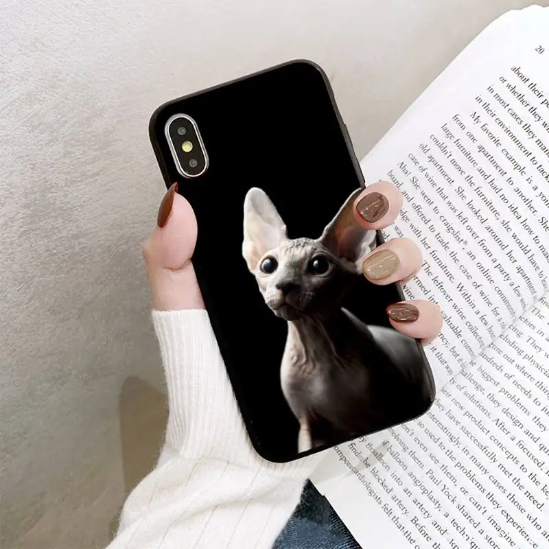 

Hairless cat Phone Case For iPhone 8 7 6 6S Plus 5 5S SE 2020 12pro max XR X XS MAX 11 case