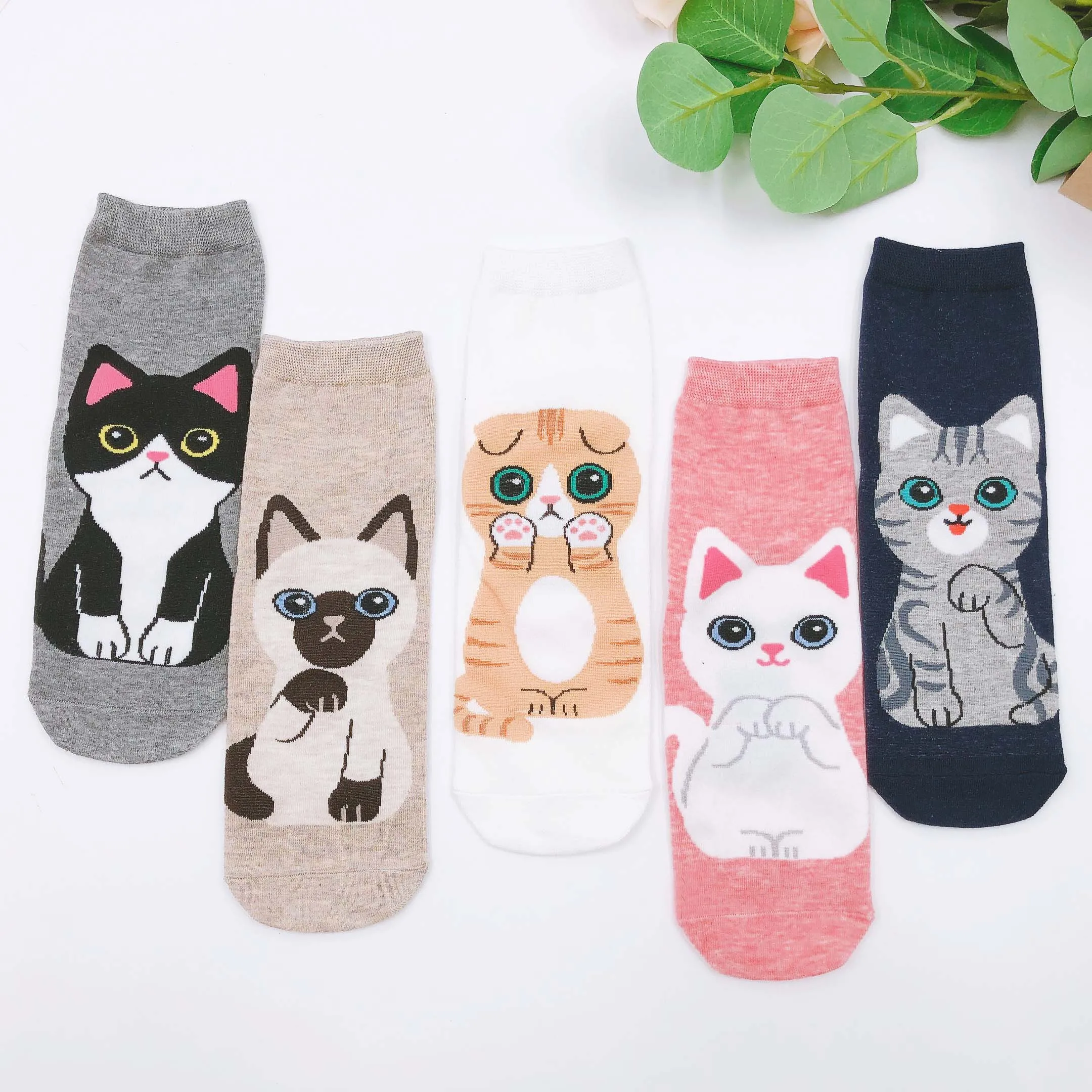 5 pairs lot pack women socks spring Cartoon lovely cotton Kawaii fashion cat with dog funny ins High-top socks happy funny  - buy with discount