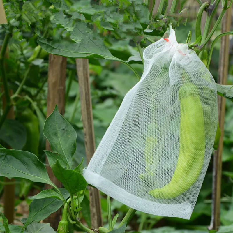 

В виде садовых овощей выращивание фруктов сумка для защиты растений анти-птица шнурок сетки сетчатые Носки ярких цветов мешок сельское хоз...