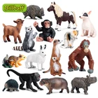 Экшн-фигурки в стиле дикого зоопарка, животные, африканский носорог, бегемот, модель енота, обучающие материалы, игрушки для детей, подарок