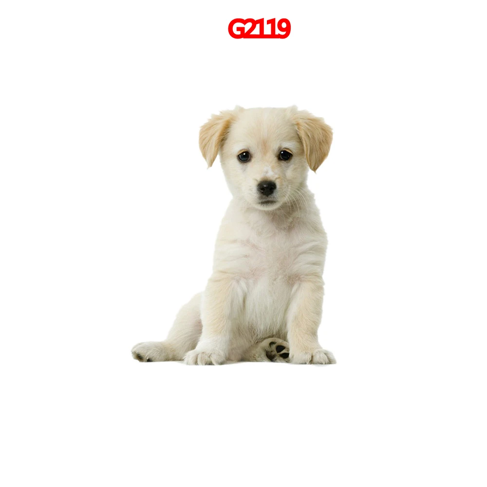 

Стильные наклейки для автомобиля