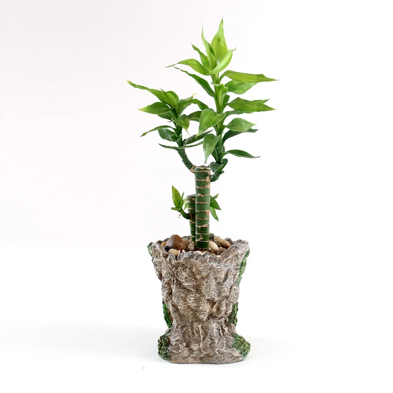 Retro Old Man Face Statue Flower Pot Resin Planter with Drain Holes Container Without Plants for Decorative Gardening | Дом и сад