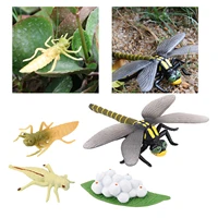 dragonfly lifespan cycle solid plastic toy animal bug growth