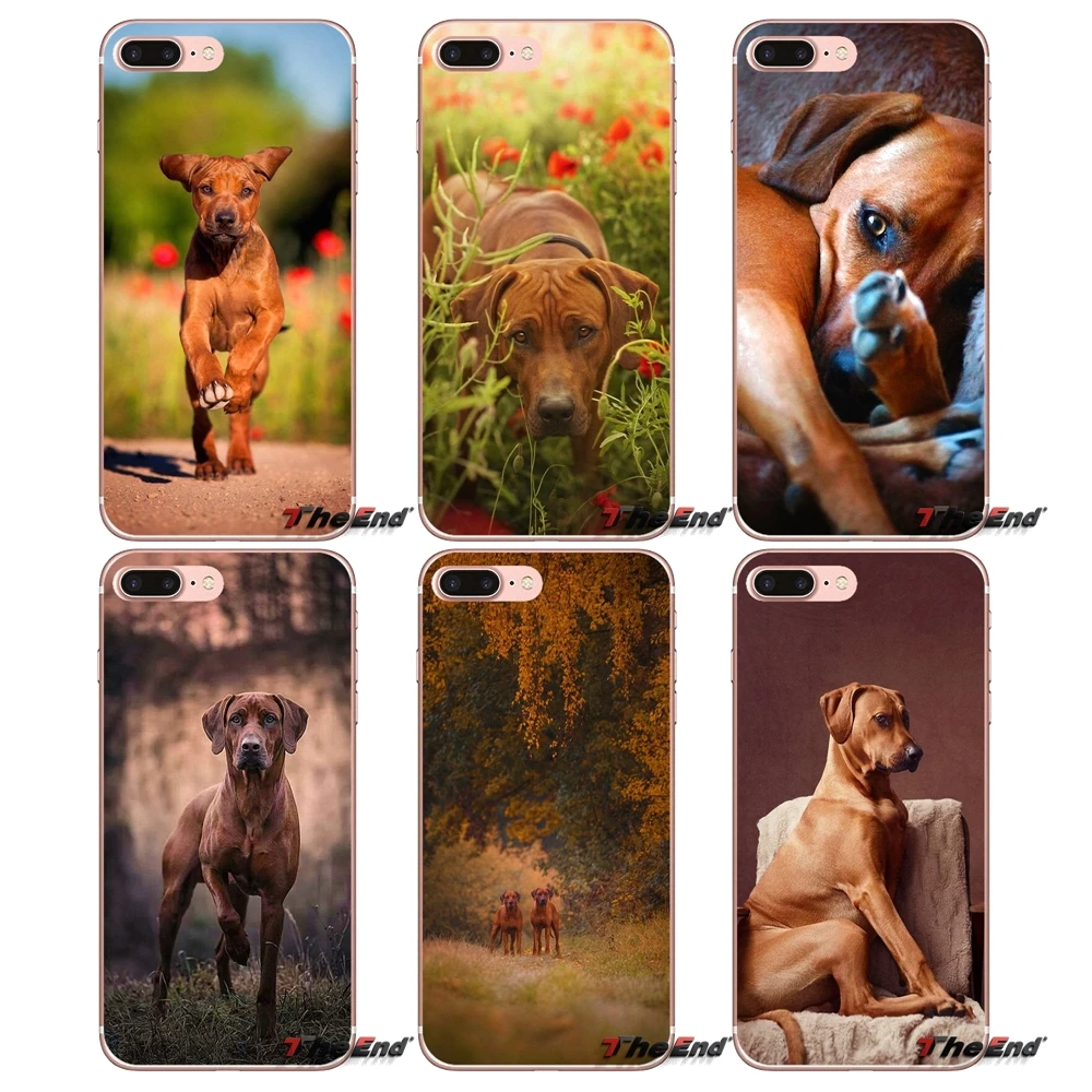 Мягкие прозрачные чехлы Родезийский Риджбек собаки для Apple IPhone X 4 4S 5 5S SE 5C 6 6s 7 8