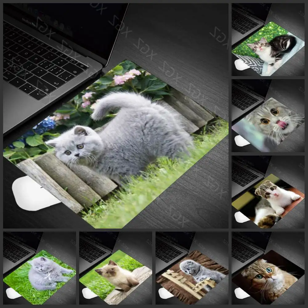 

Yzuoan, лидер продаж, высококачественный милый кот, котенок, животные, клавиатура, игровой ноутбук, коврик для мыши, оптовая продажа, коврик для ...