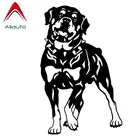 Виниловая наклейка на автомобиль, 17 см * 26 см