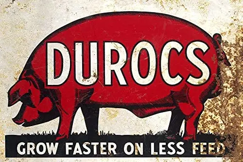 

Indoor Decoration Duroc Pig Breed Advertising Metal Sign Metal Wall Panel Retro Vintage Mural Dimensions 20x30 cm